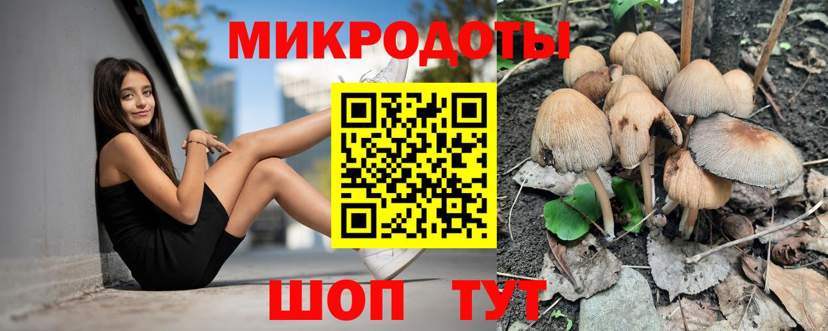Псилоцибиновые грибы прущие грибы Минусинск
